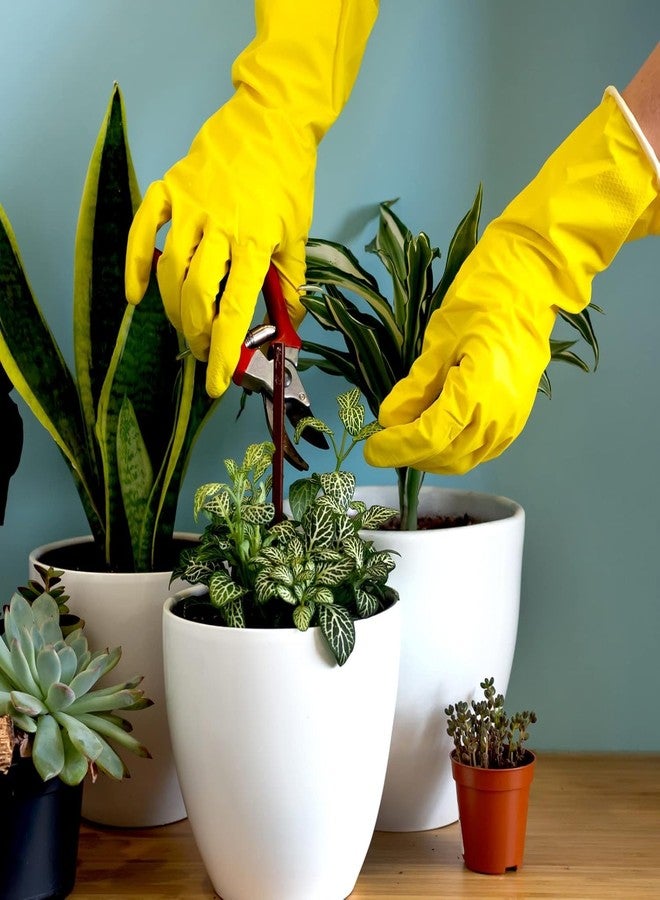 MPR4 Heavy Duty Rubber Hand Gloves, Multi-Colour Pack of 5 Pairs, for Dishwashing, Gardening and Kitchen Cleaning Reusable Dry and wet Gloves - Image 2